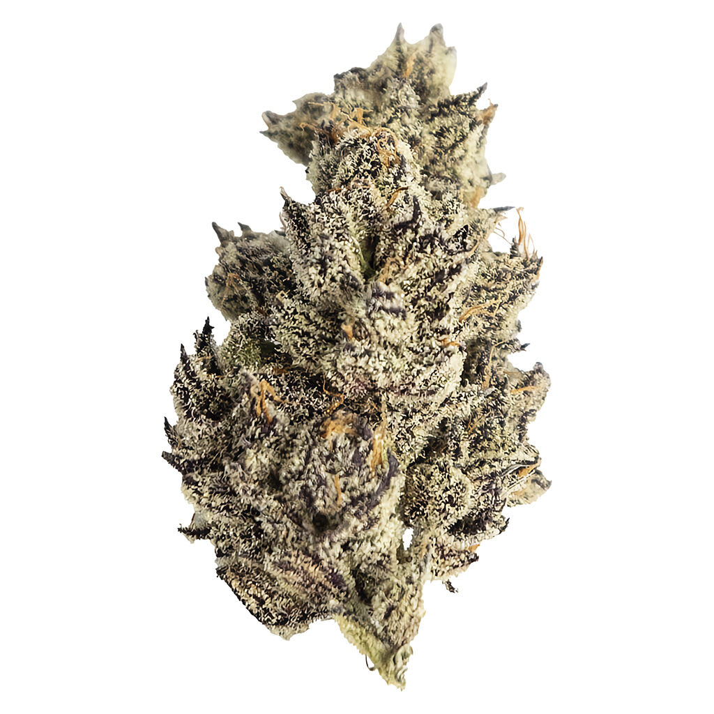 Seaweed Craft Cannabis | James' Celebration: Craft Small Batch Rotational - Seaweed Craft Cannabis | James' Celebration: Craft Small Batch Rotational | 3.5g